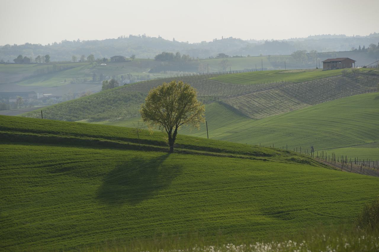 Spinerola Hotel in Cascina&Restaurant UvaSpina Moncalvo Esterno foto